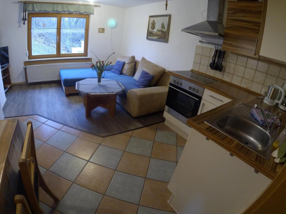 Apartament Berghof Zeulenroda-Triebes Pokój zdjęcie